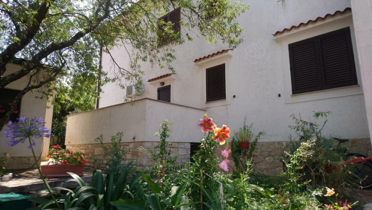 Apartman Dino Tar-Vabriga Kültér fotó